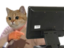 :sodium_regardez_le: