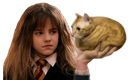 :Hermione_chamain: