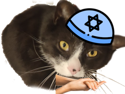 :chat_chanceux: