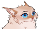 :DishaSillyCatPokerFace: