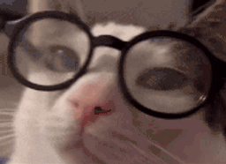 :mouaislunettes:
