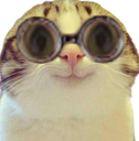 :Marrant_lunettes: