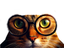 :Chat_lunettes_8K: