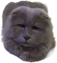 :chatlouche2: