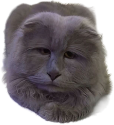 :chatlouche2: