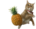 :Catananas: