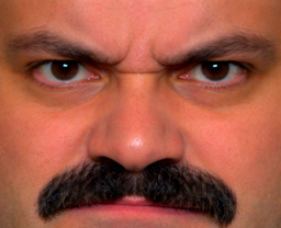 :face_risitas_vnr: