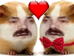 :Hamster_amoureux: