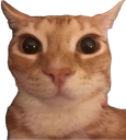 :chatouille: