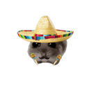 Ricardos