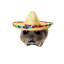 Photo de profil de Ricardos