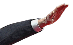 :ElonArm2: