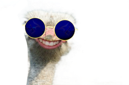 :Autru: