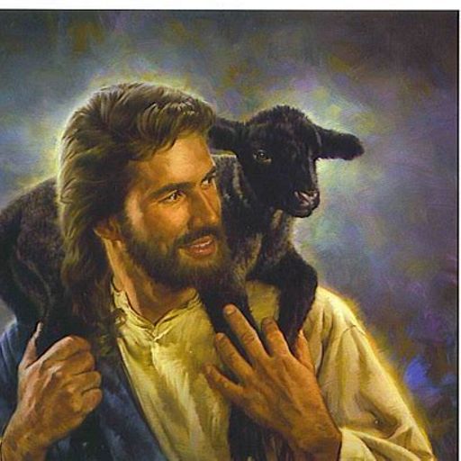Bestiality