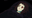 Photo de profil de Sperme-de-Scizo