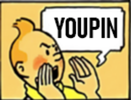 :tintin_youpin: