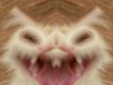 :Gouuusk: