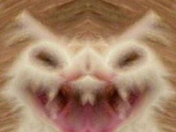 :Gouuusk:
