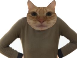 :chat_hein: