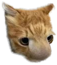 :Chatnez: