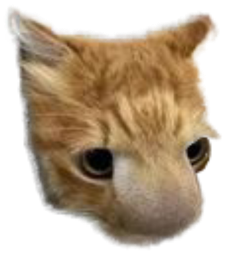 :Chatnez:
