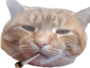 :matou_joint: