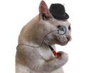 :chat_blanc_pipe: