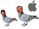 :PigeonApple: