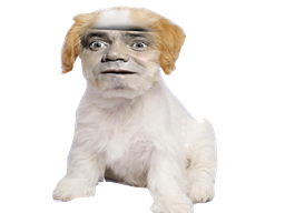 :Didier_Bourdon_Chien: