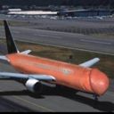 Avionaerection