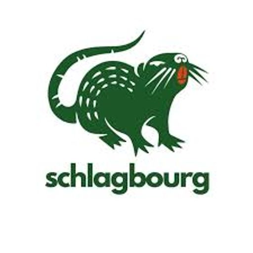 Schlagbourg