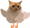 :chatpia1: