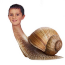:Snail_kid: