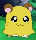 :Poupouille: