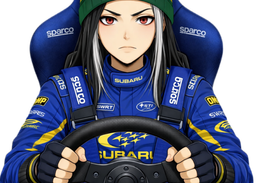 :Krist_DiRT_Rally_2: