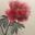 Photo de profil de Froid-