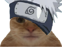 :Kakashi_Chat: