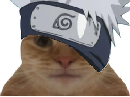 :Kakashi_Chat:
