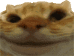 :chatoui1: