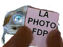 :Poisson_Photo_FDP: