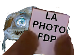 :Poisson_Photo_FDP: