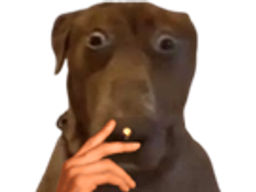 :Teddi-clope:
