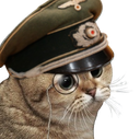 :ChatWehrmacht: