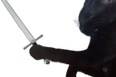 :Chat_PYJ_Chevalier: