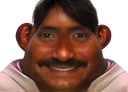 :Pakistanais: