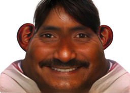 :Pakistanais: