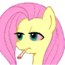 :mlp: