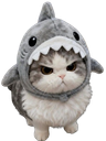 :ChatRequin: