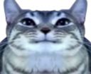 :CS_tete2ouf: