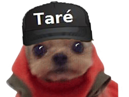 :Chien_Tare: